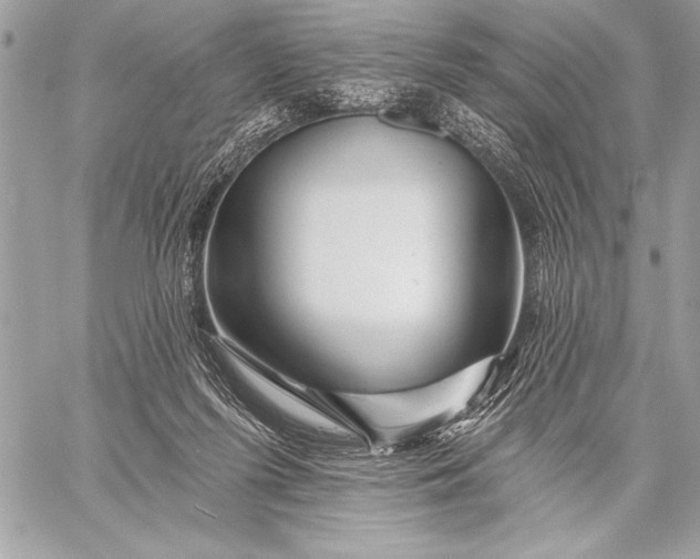 X0000057570215200510071552