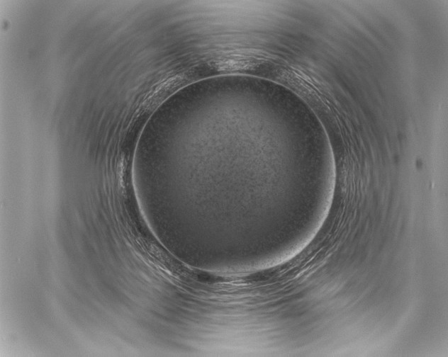 X0000057570219200510071552