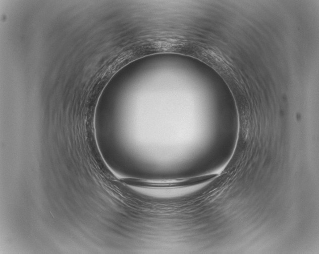 X0000057570221200510071552