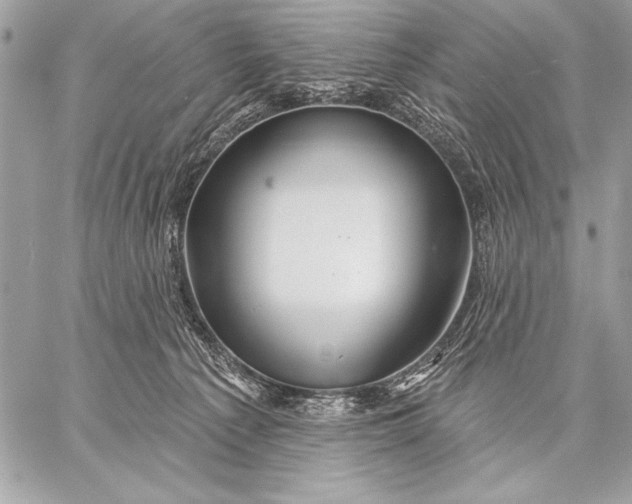 X0000057570225200510071551