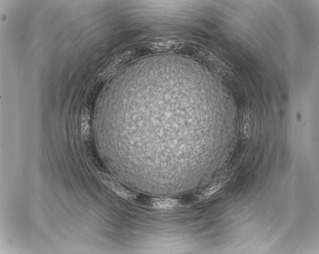 X0000057570226200510071551