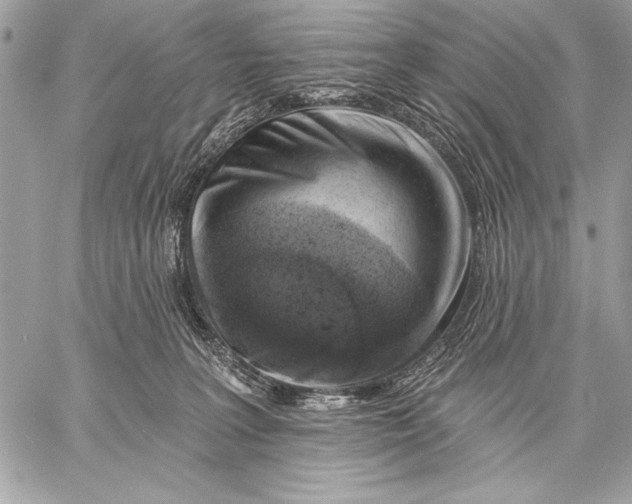 X0000057570227200510071551