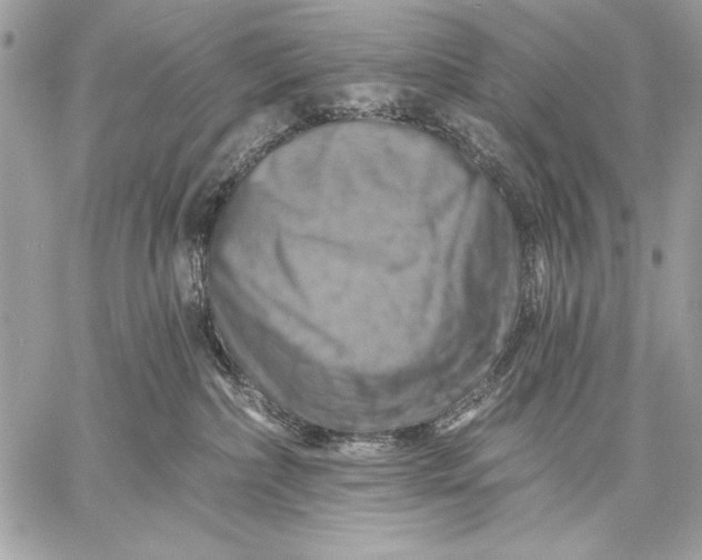 X0000057570236200510071551