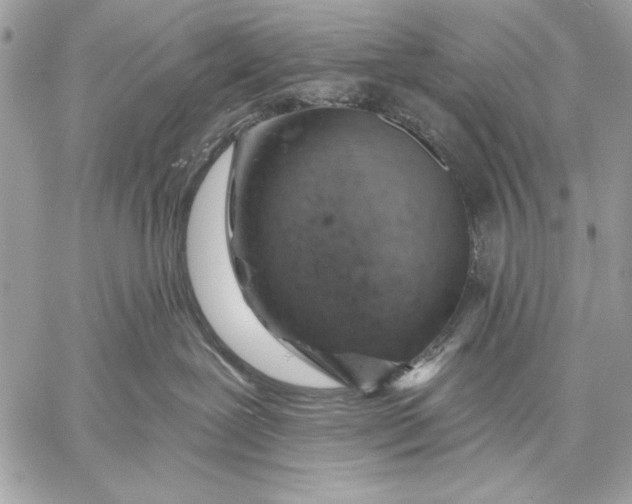 X0000057570239200510071551