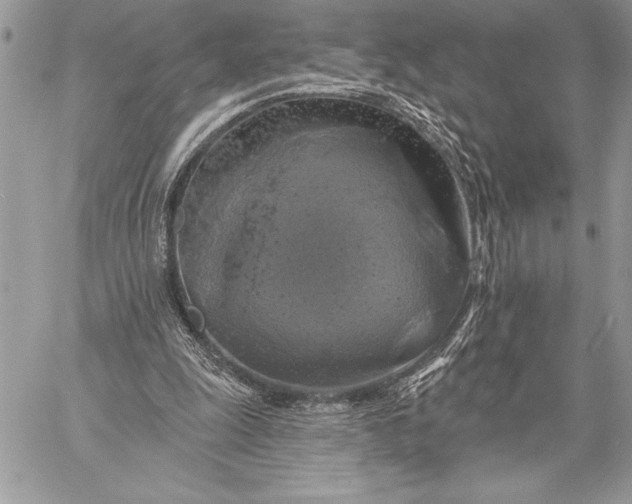 X0000057570247200510071551