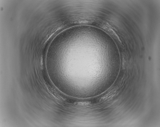 X0000057570251200510071551