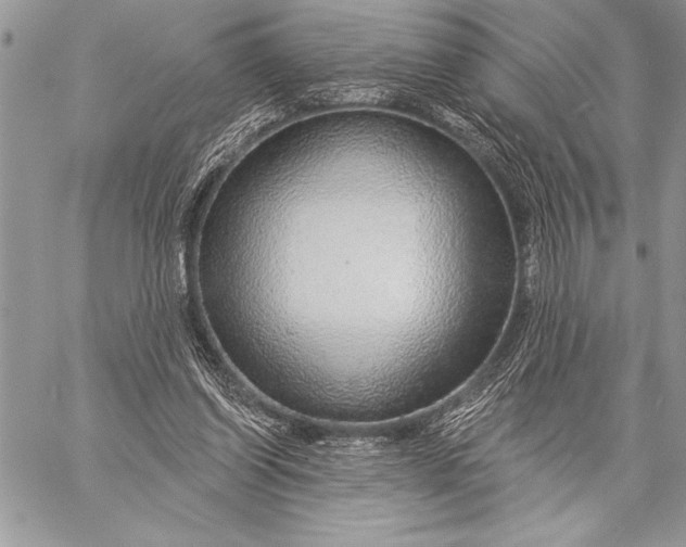 X0000057570254200510071551