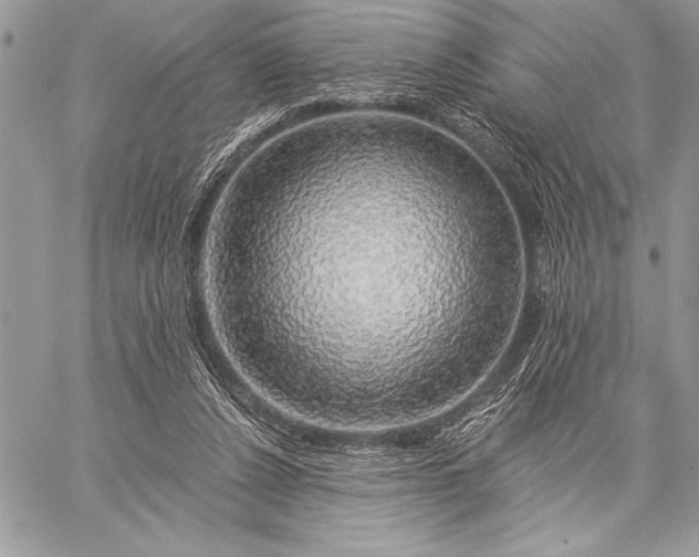 X0000057570256200510071551