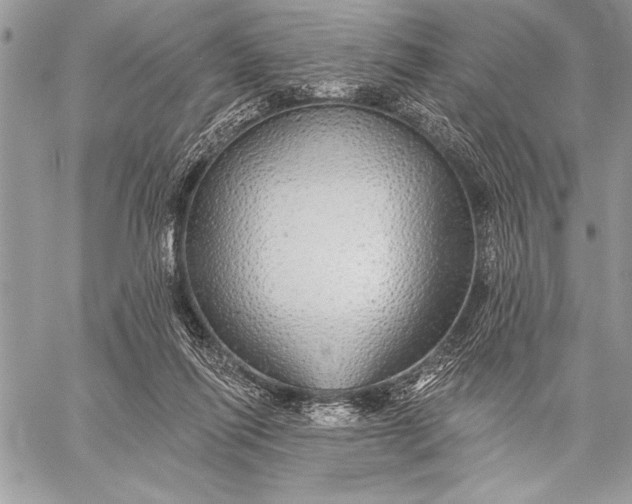 X0000057570262200510071551