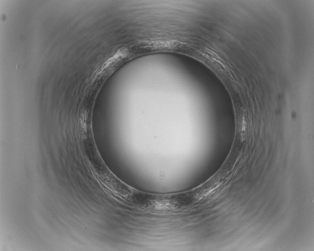 X0000057570264200510071551