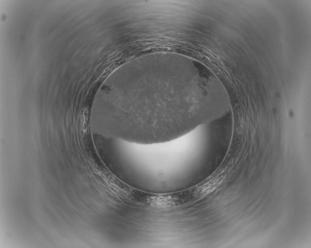 X0000057570273200510071551