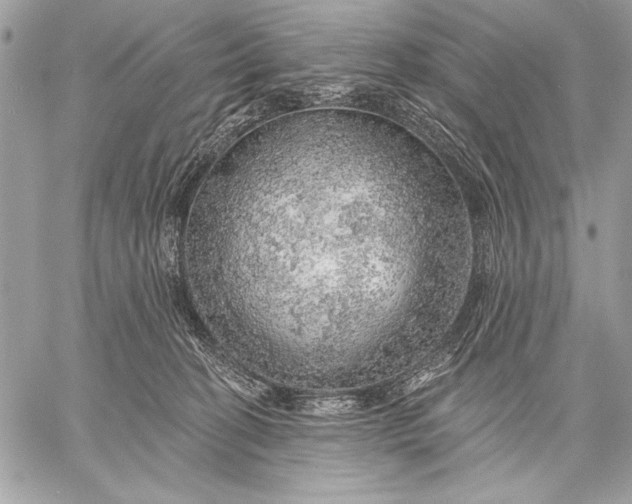 X0000057570274200510071551