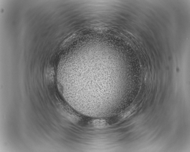X0000057570279200510071551