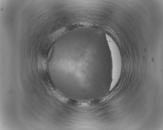 X0000057570285200510071551