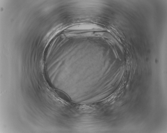 X0000057570290200510071550