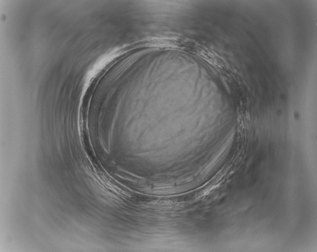 X0000057570294200510071550