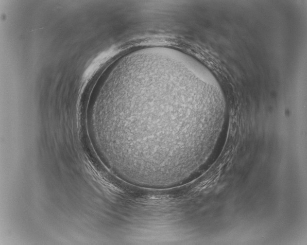 X0000057570296200510071550