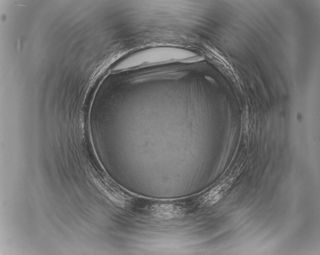 X0000057570298200510071550