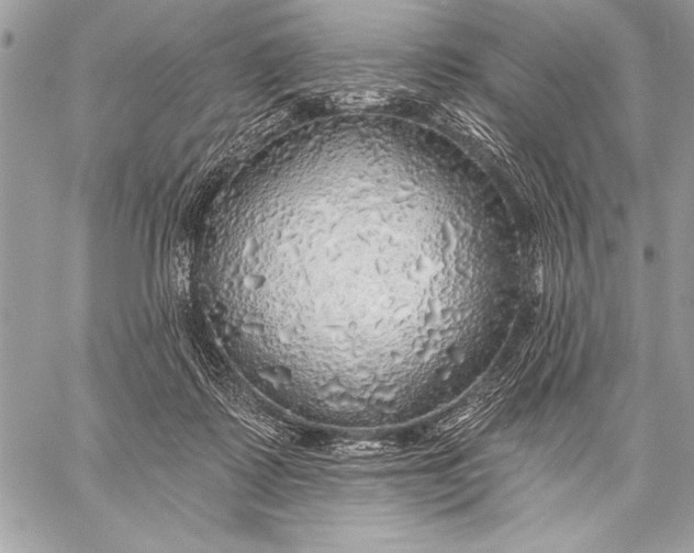 X0000057570315200510071550