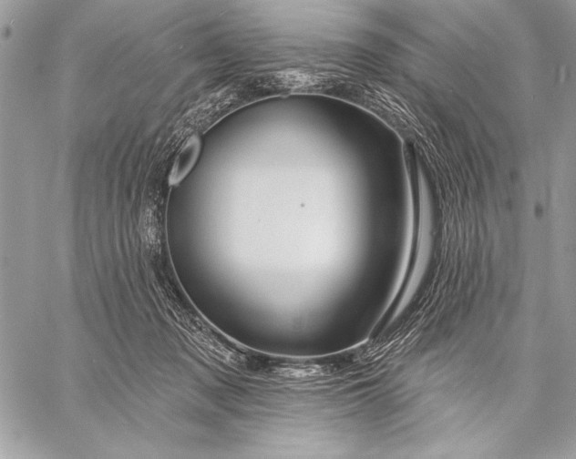 X0000057570317200510071550