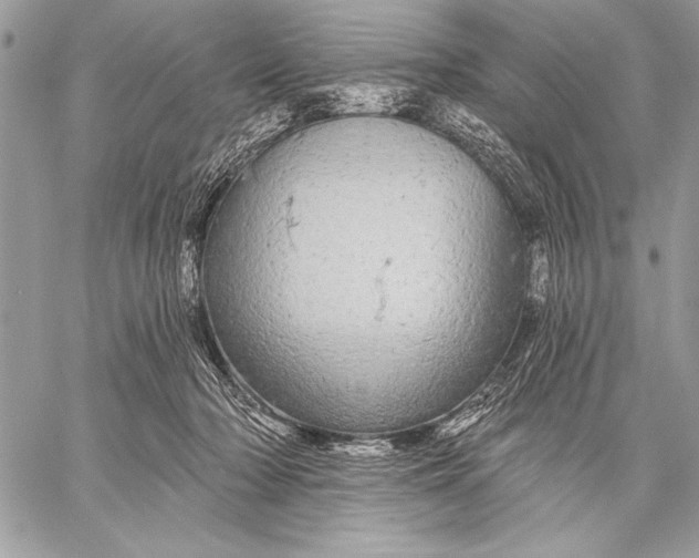 X0000057570318200510071550
