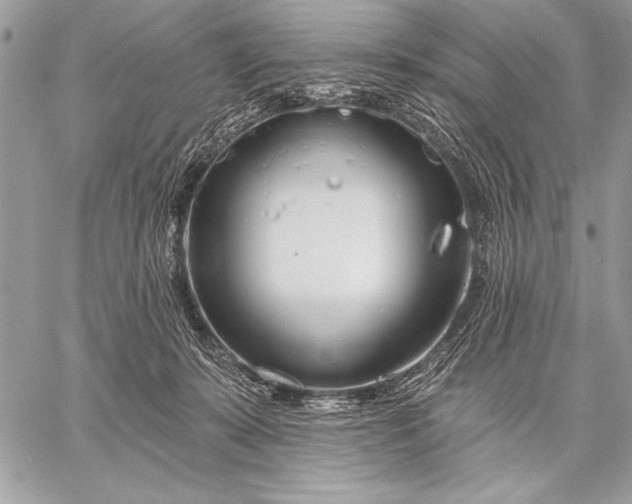 X0000057570319200510071550