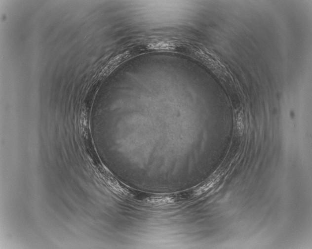 X0000057570322200510071550