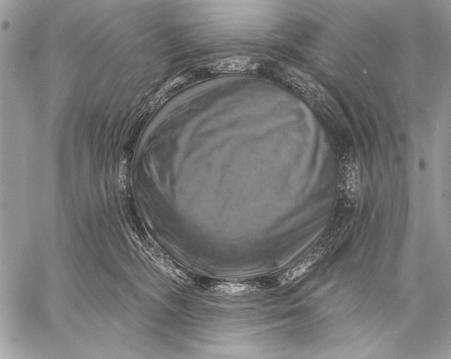 X0000057570326200510071550