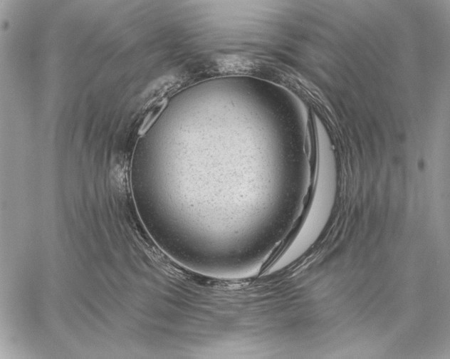 X0000057570329200510071550