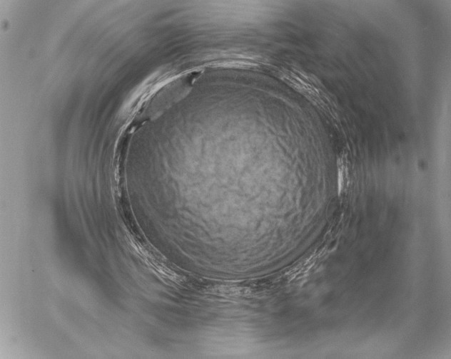 X0000057570339200510071549