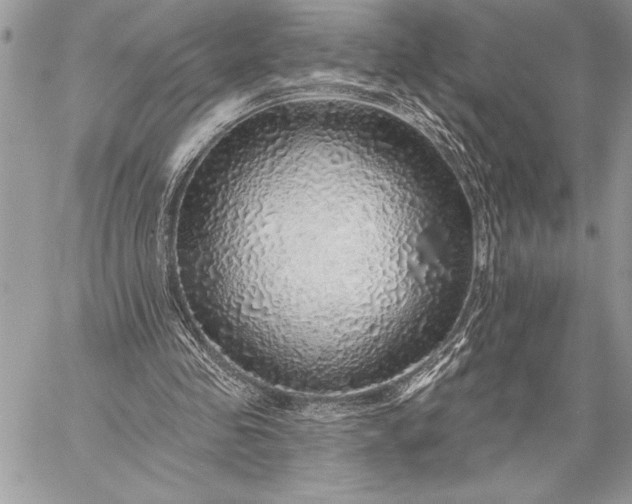X0000057570341200510071549