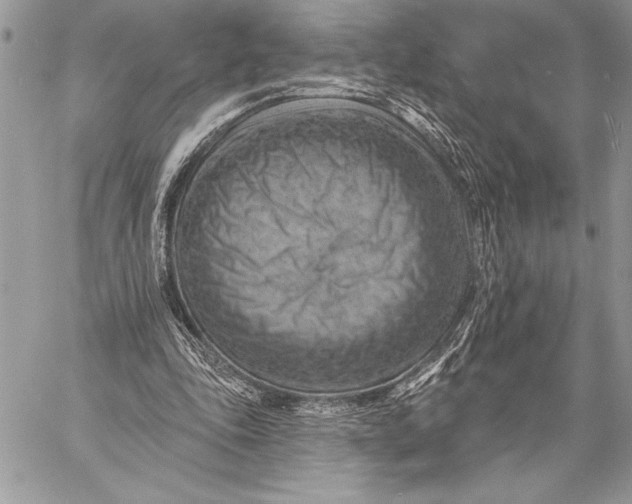 X0000057570343200510071549