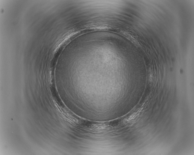 X0000057570351200510071549