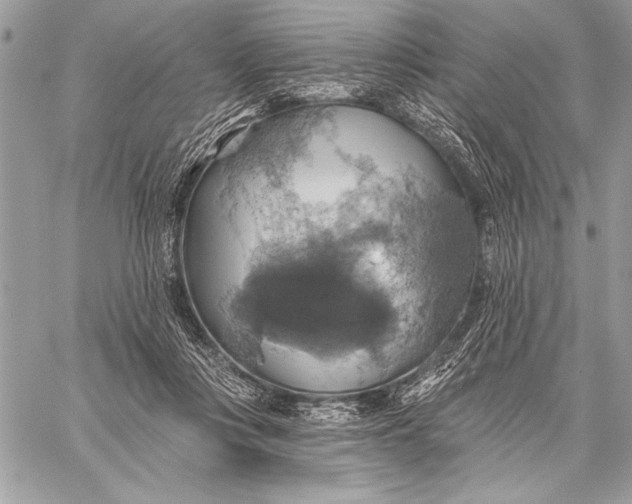 X0000057570359200510071549