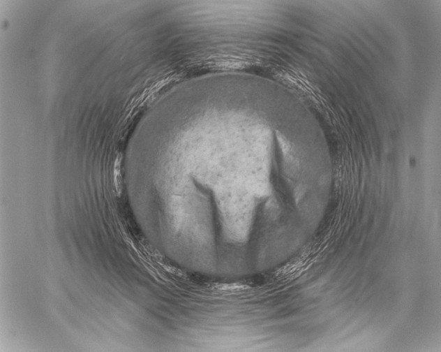 X0000057570360200510071549