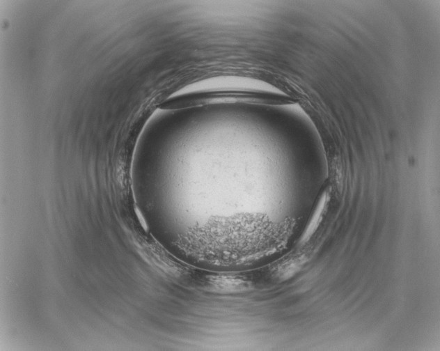 X0000057570380200510071550