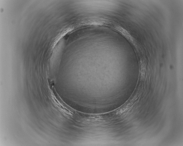 X0000057570386200510071549