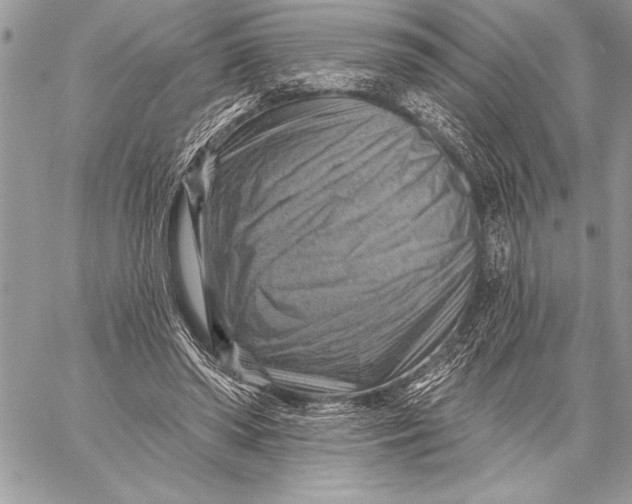 X0000057570398200510071549