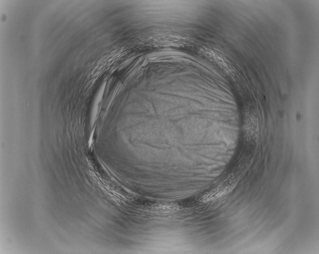 X0000057570402200510071549