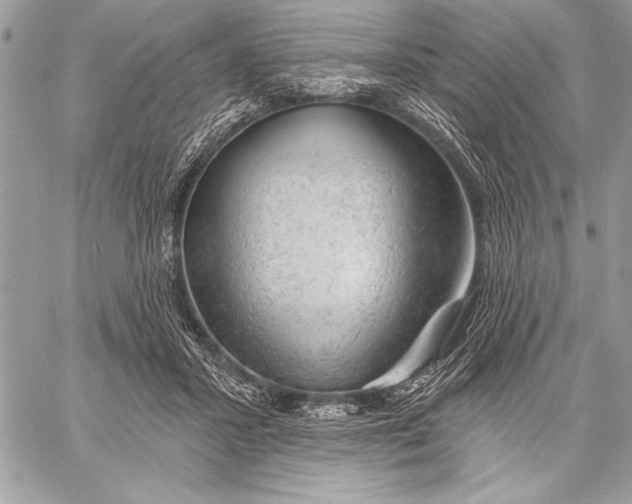 X0000057570407200510071548