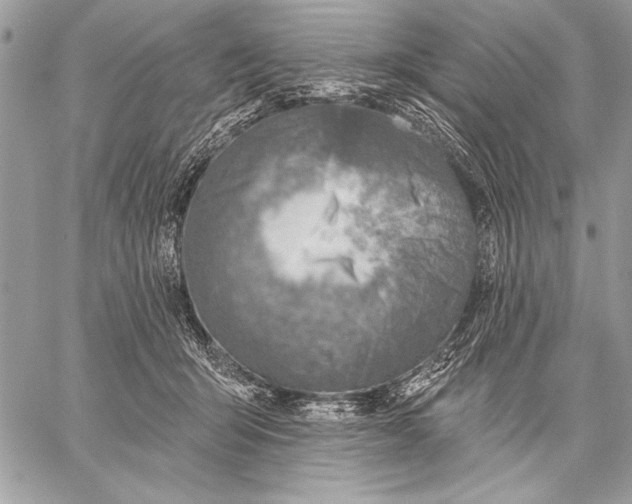 X0000057570415200510071548
