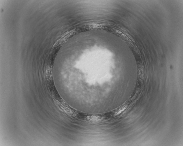 X0000057570419200510071548