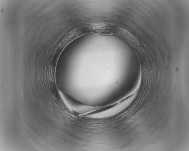 X0000057570421200510071548