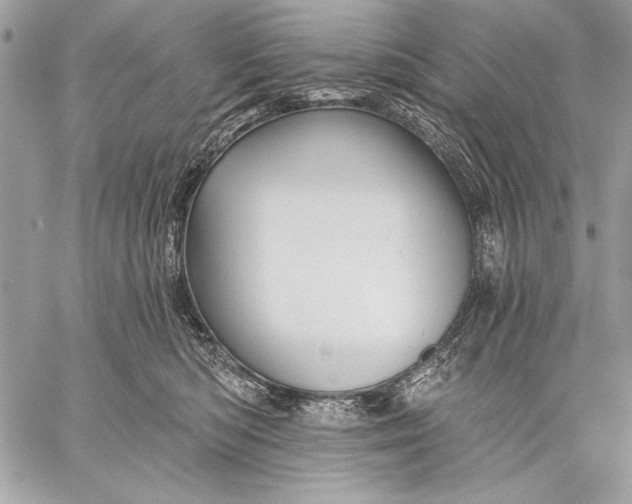 X0000057570422200510071548