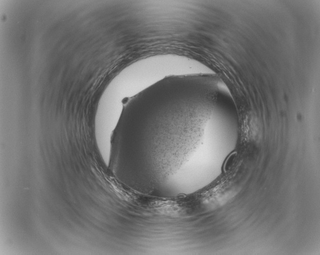 X0000057570424200510071548