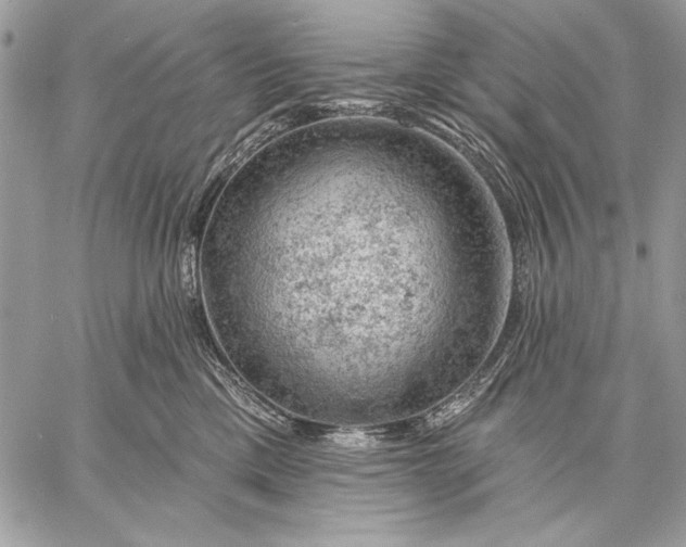 X0000057570425200510071548