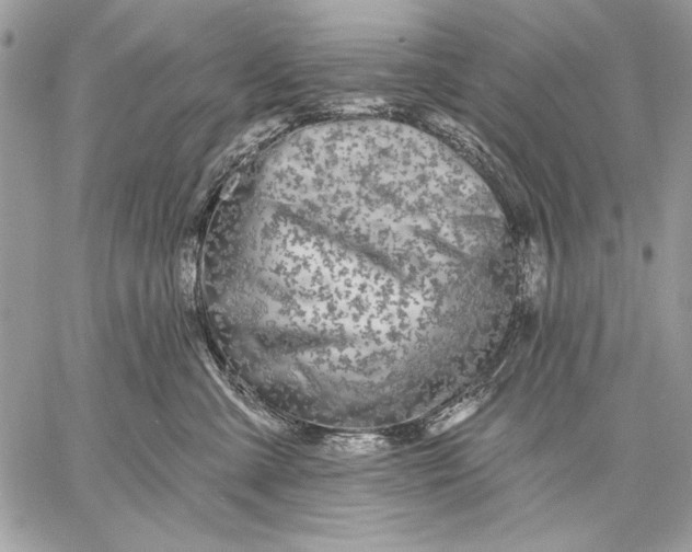 X0000057570427200510071548