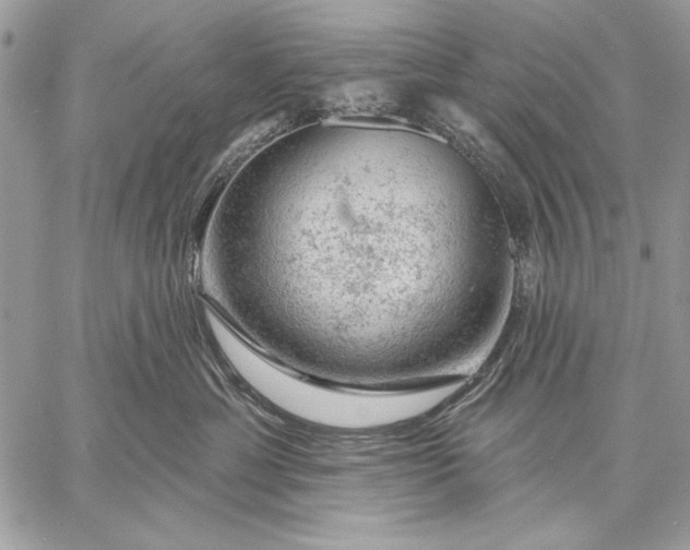 X0000057570429200510071548