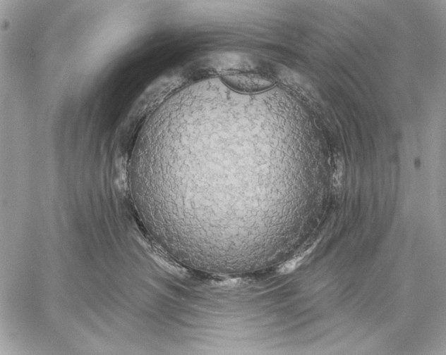 X0000057570430200510071548