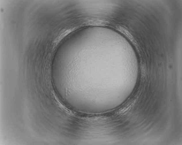 X0000057570433200510071547